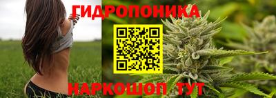 дурь Изобильный