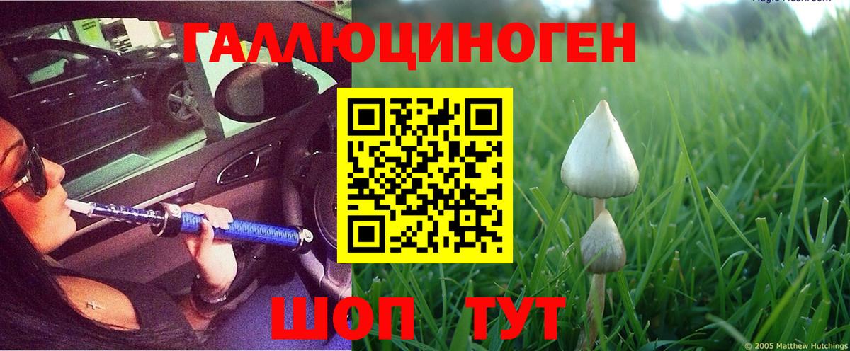 Псилоцибиновые грибы мухоморы Барабинск