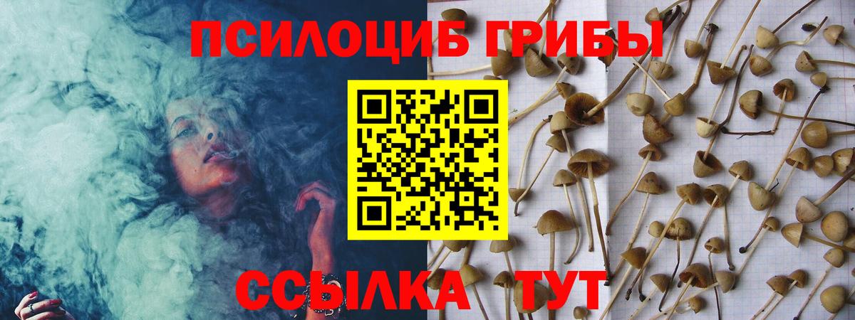 Галлюциногенные грибы мицелий  Вход с VPN  Барабинск  Псилоцибиновые грибы мицелий 